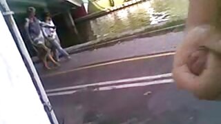 নের্ডি স্বর্ণকেশী এব ...